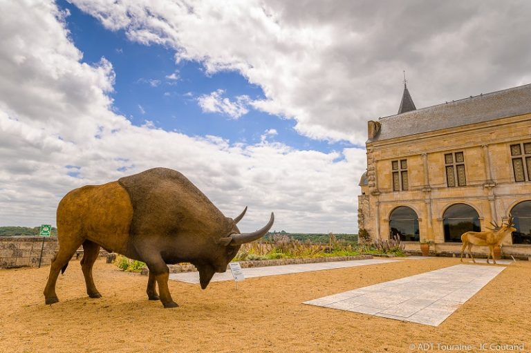 Prehistory Museum of Le Grand-Pressigny-4