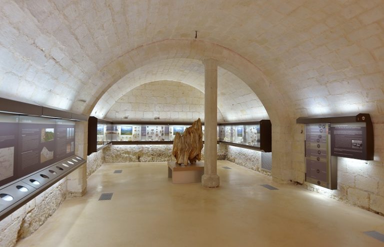 Prehistory Museum of Le Grand-Pressigny-6