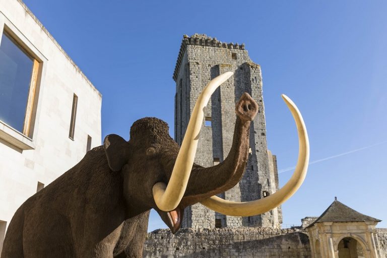 Prehistory Museum of Le Grand-Pressigny-2