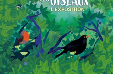 OISEAUX – affiche A3 2 – sans encart