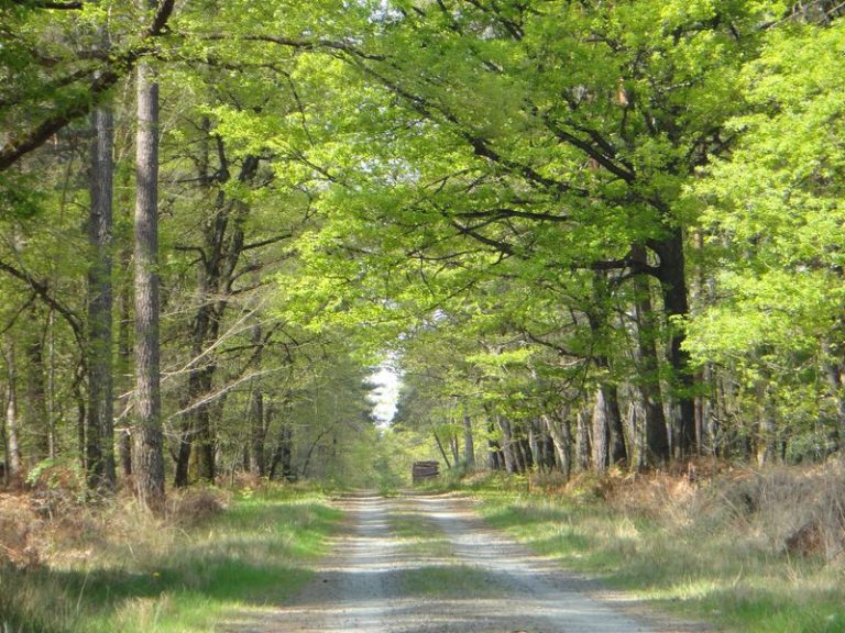 Val de Loire Ecotourisme-1