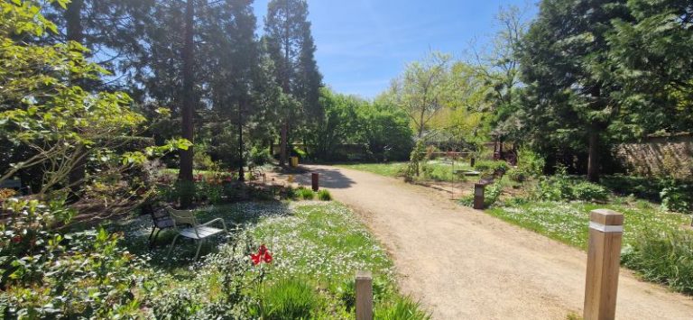 Picnic area near Maison de la Loire 37-2