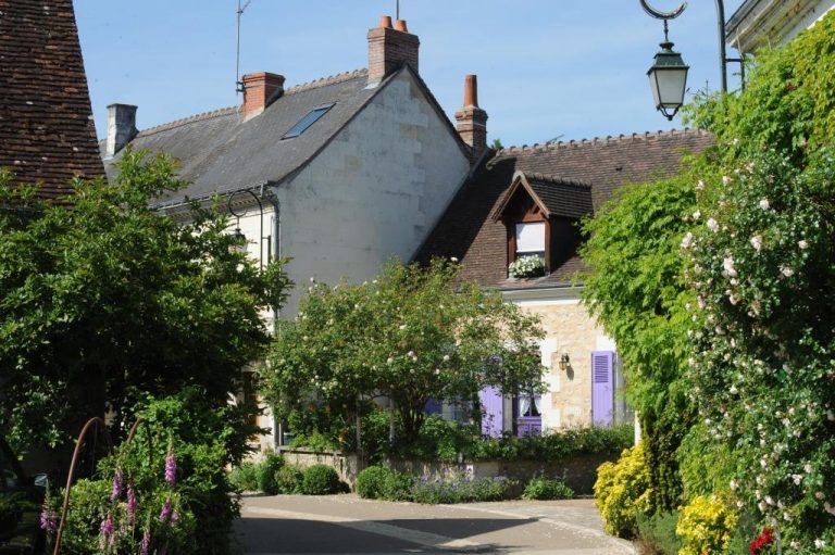 Guided floral tour of Chédigny, both village and garden-1