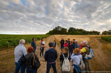 RDV_dans_vignes_Credit_ADT_Touraine_LDeSerres_2029 (1)