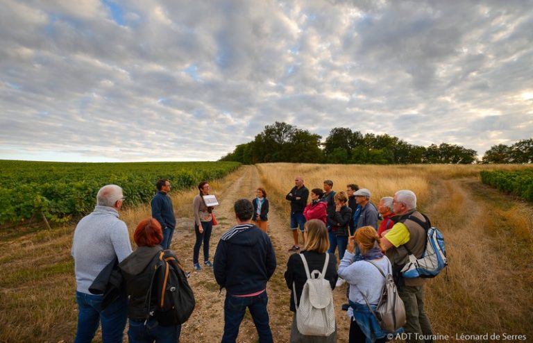 “Rendez-vous dans les vignes” – Wine-related activities-1