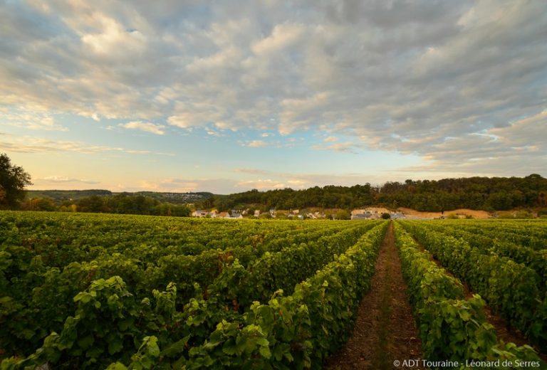 “Rendez-vous dans les vignes” – Wine-related activities-4