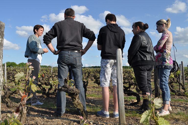 “Rendez-vous dans les vignes” – Wine-related activities-2