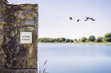 The Louroux pond