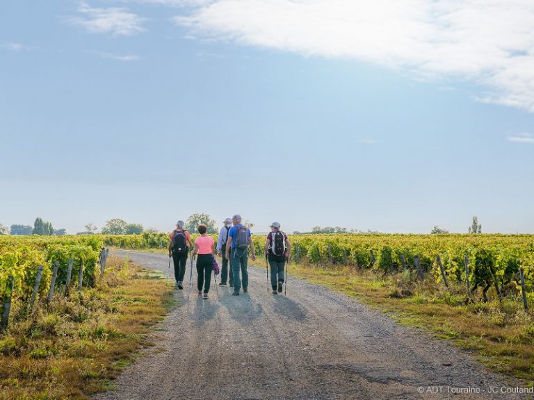 Vineyards and heritage-2