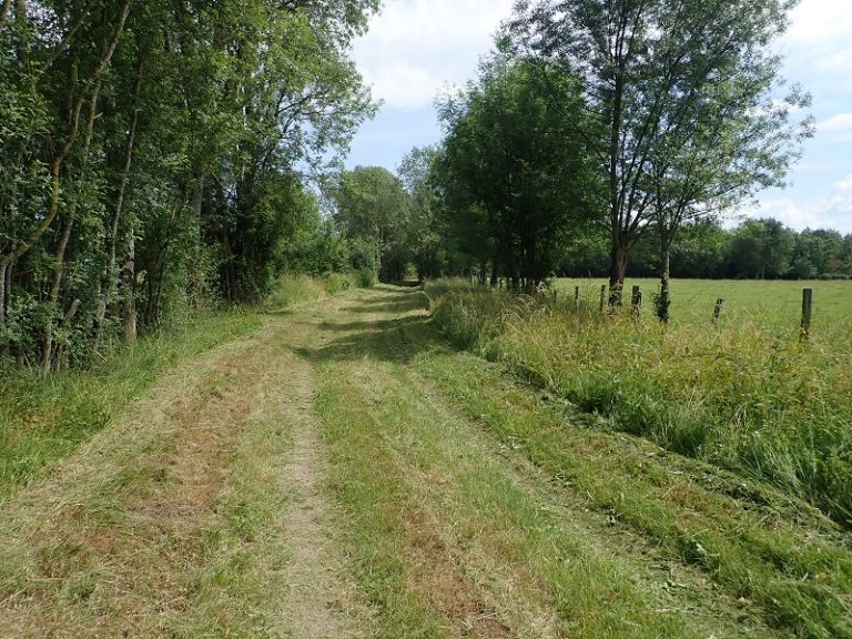 Randonnée du bocage de Bois Chétif-5