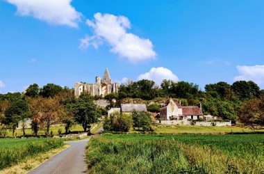 Roches_Tranchelion_avo-les-roches_ADT_Touraine_MG-2032 (4)