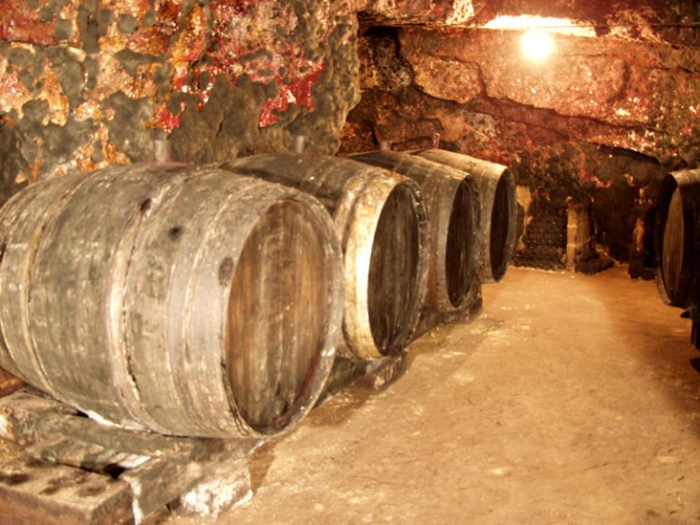 Bruneau Dupuy Cellar-2