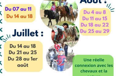 TVI – 14-31.07 Stages équitation