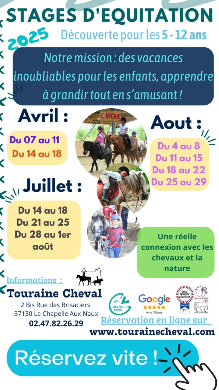Stage d’équitation Touraine Cheval-1