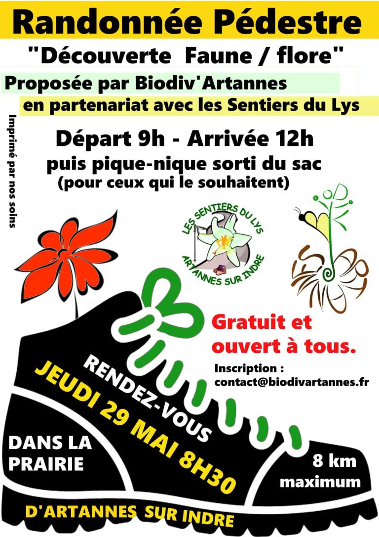 Randonnée Pédestre “Découverte Faune/ flore”-1