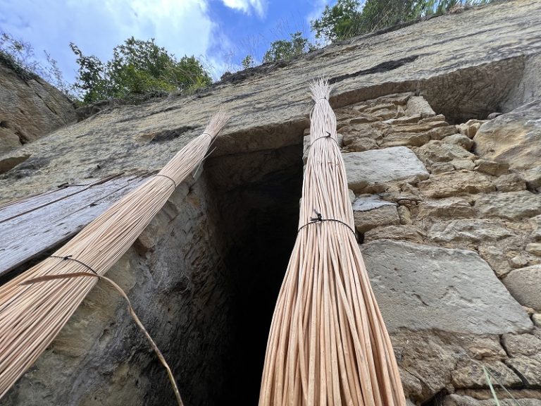 Troglodyte discovery days-3