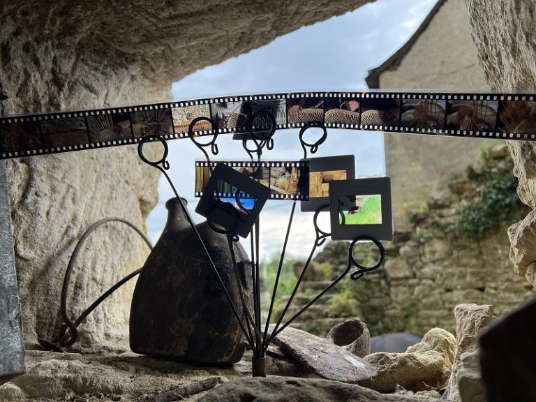 Troglodyte discovery days-3