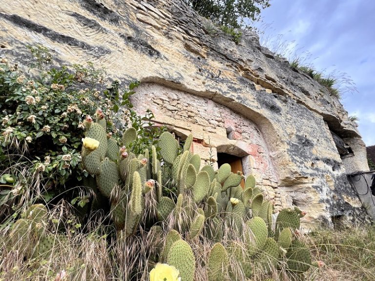 Troglodyte discovery days-5