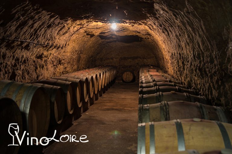 Vinoloire-18