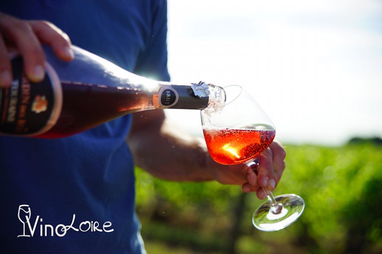 Vinoloire-19