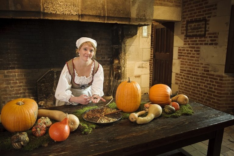 Guided tours in Amboise-1