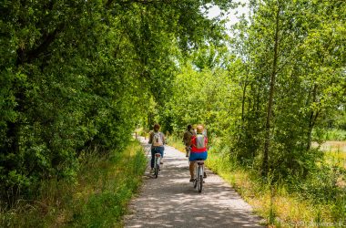 Cycle route n°51 – Between vineyards and Veude