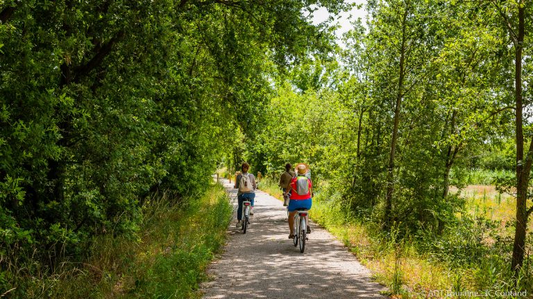 Between vineyards and Veude – Bike loop n°51-1