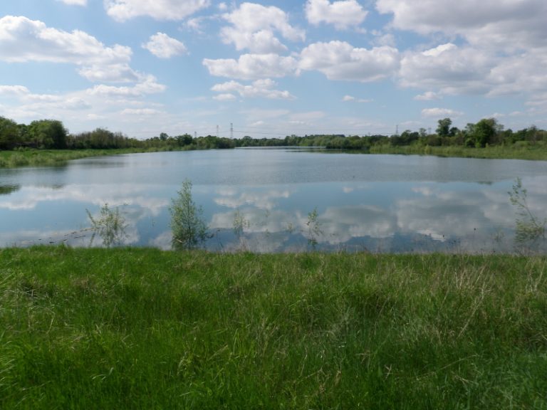 Plan d’eau “les Grèves des Tuileries”-1