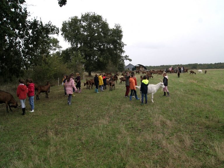 “Cabri au Lait” Educational Goat farm-3