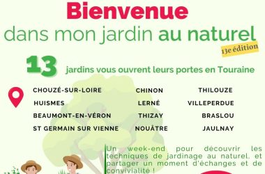 affiche bmjn