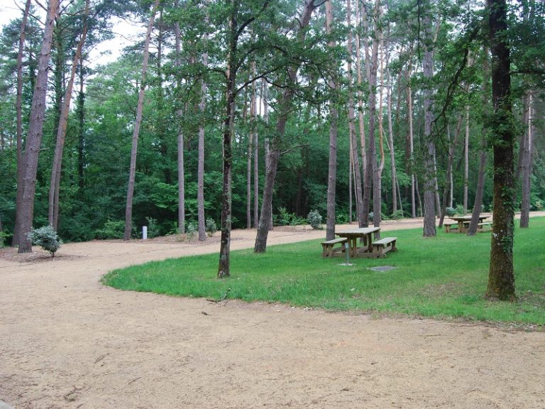 Camper van area of Céré-la-Ronde, Les Pins – Camping-car Park-1