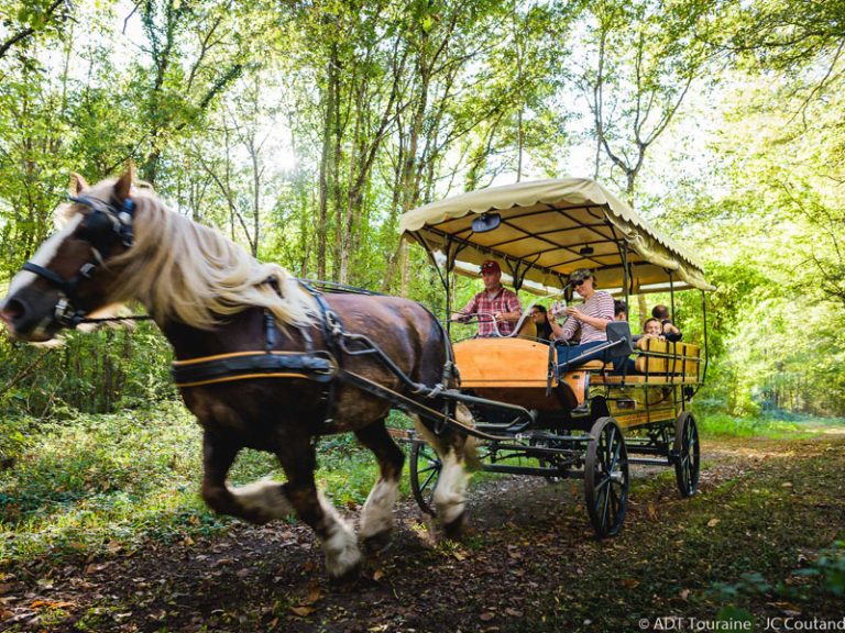 Les attelages de Villandry – Carriage rides-2