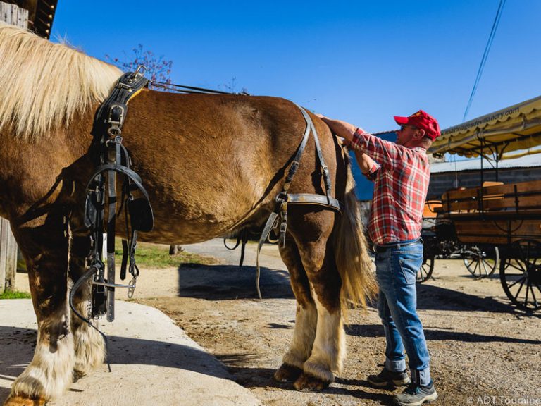 Les attelages de Villandry – Carriage rides-3