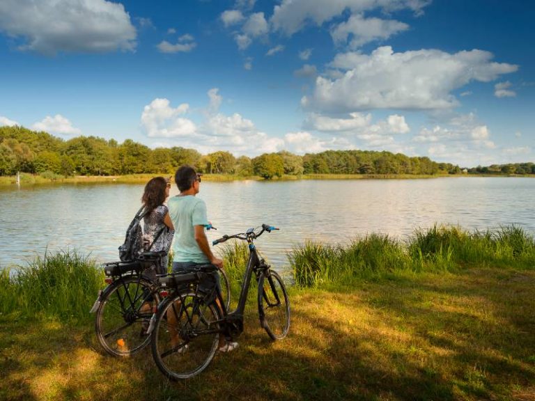 Nature and sculpture – Bike circuit n°25-1
