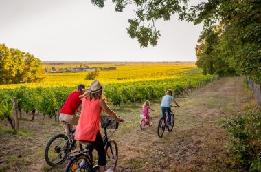 boucle_velo_23_bourgueil_ADT_Touraine_JC_Coutand_2029