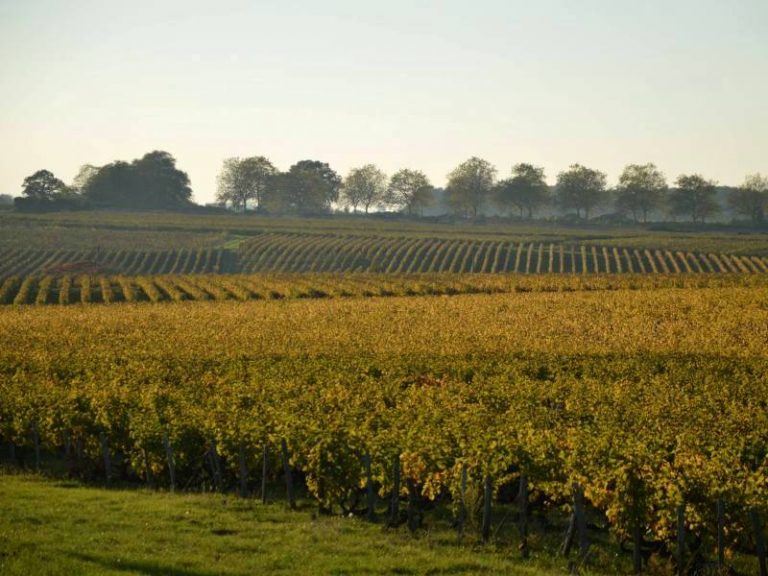 Vouvray Wine Cellar-2