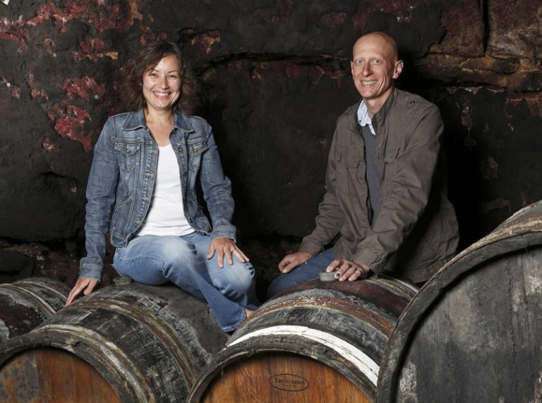 Bruneau Dupuy Cellar-1