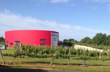 Pierre et Bertrand Couly – Chinon wines, France.