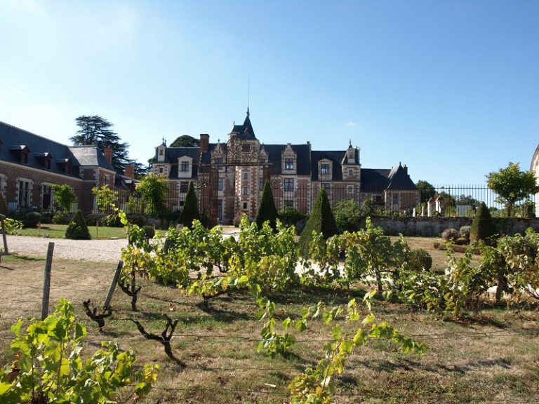 Château of Jallanges-1