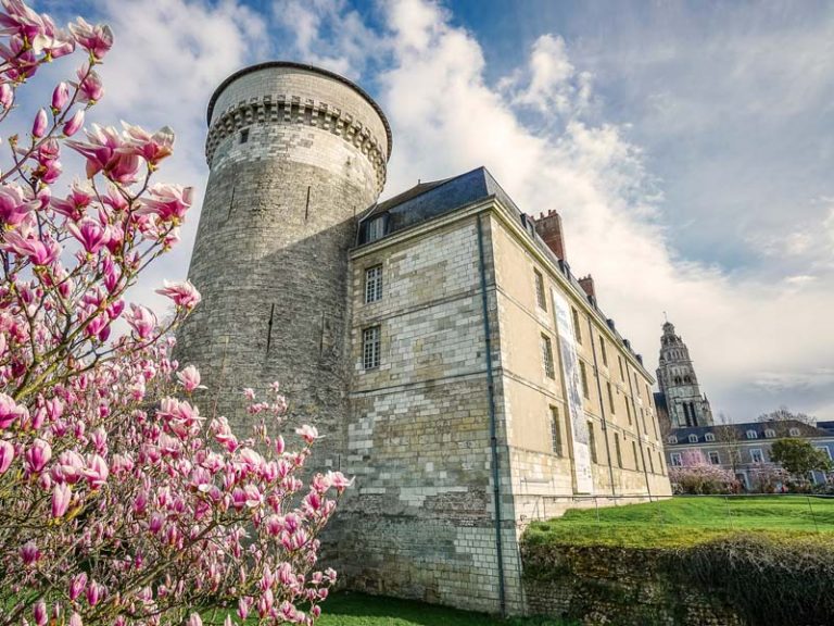 Château de Tours-1