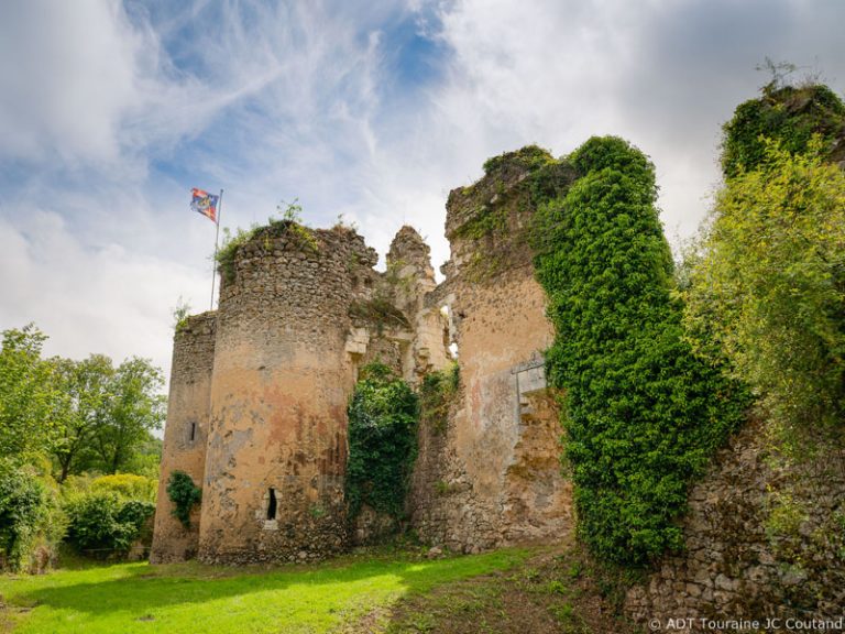 Château of Vaujours-1