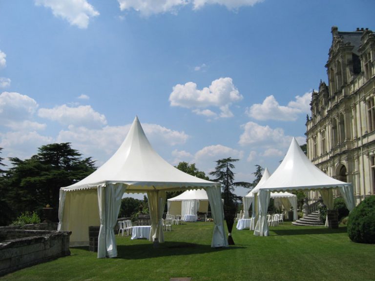 Château de la Bourdaisière-3