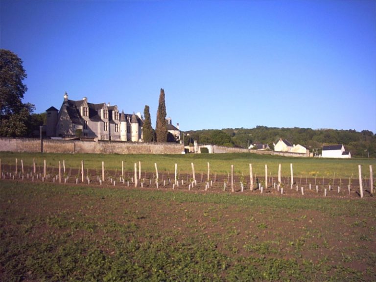 Château of La Vauguyon-1