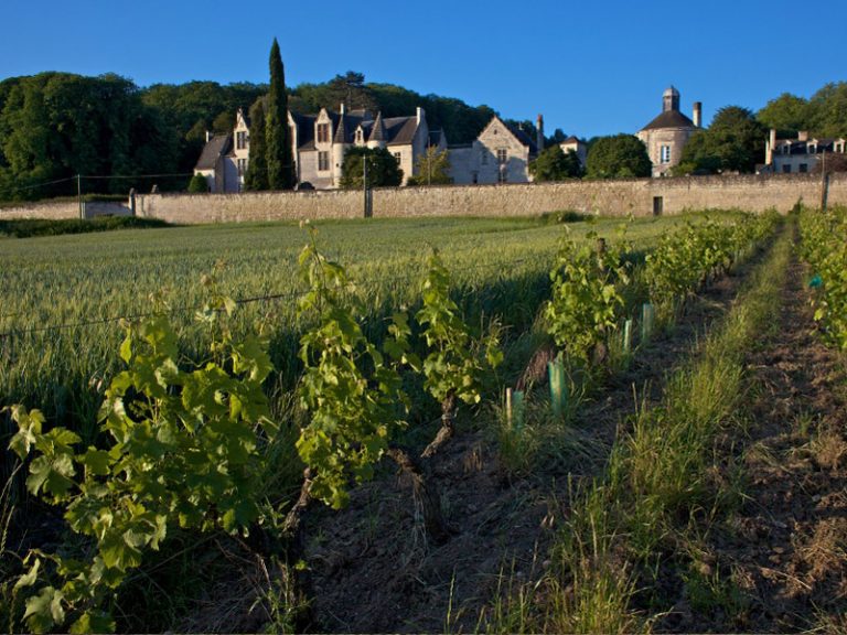 Château of La Vauguyon-2