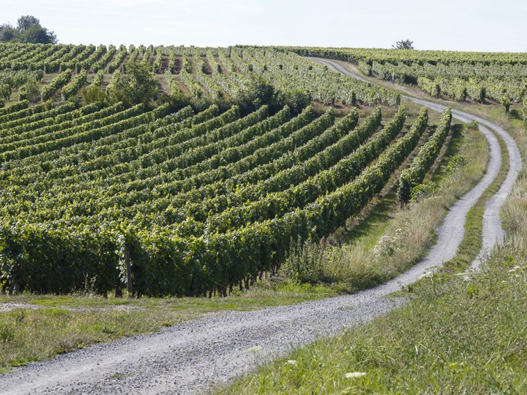 Domaine de la Noiraie-3