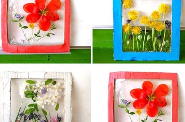 des-cadres-de-fleurs-seches