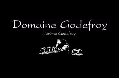 domaine_godefroy_chouze-sur-loire