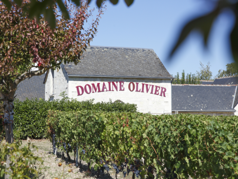 Domaine Olivier-3