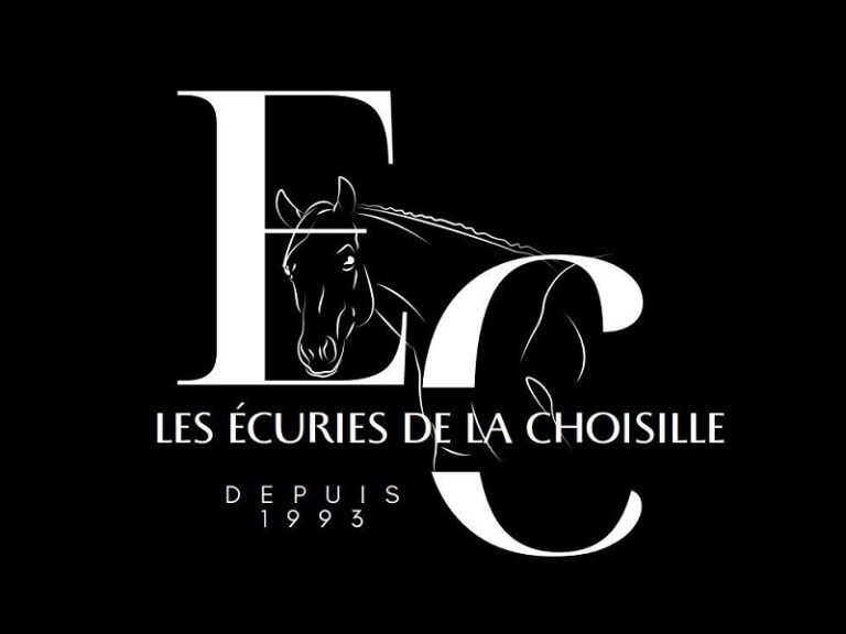 les écuries de la Choisille – Horse riding Centre-1