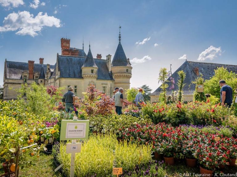 Château and gardens of la Bourdaisière-2